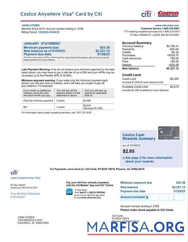 Printable USA Citi bank card statement word 2 pages sample